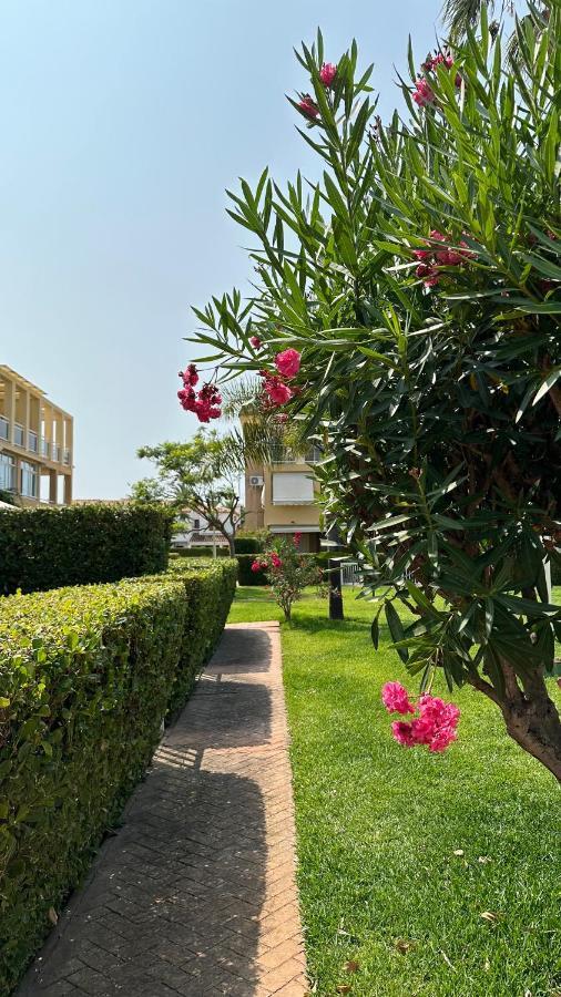 Ferienwohnung La Rosaleda 17 Dénia Exterior foto